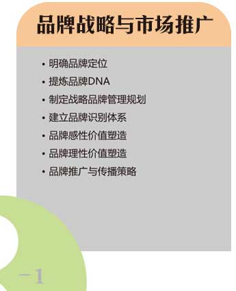 品牌戰(zhàn)略與市場(chǎng)推廣 品牌戰(zhàn)略與市場(chǎng)推廣