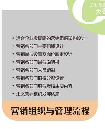 營(yíng)銷(xiāo)組織與管理流程 營(yíng)銷(xiāo)組織與管理流程
